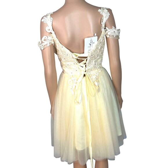 Ivory & Cream Lace & Tulle Short Dress With Rhinestone Accents Size 8 Elegant NW - Picture 2 of 13